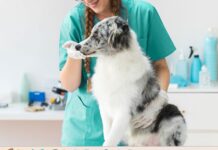 Ипозан для собак в ветеринарной аптеке