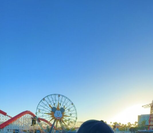 Мужчина похудел, выполняя эту тренировку в Диснейленде