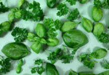 По мнению диетологов: 7 самых полезных трав, которые помогут уменьшить воспаление и улучшить здоровье сердца