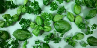 По мнению диетологов: 7 самых полезных трав, которые помогут уменьшить воспаление и улучшить здоровье сердца