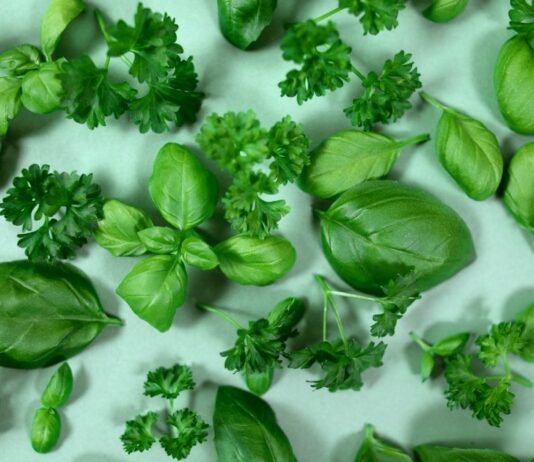 По мнению диетологов: 7 самых полезных трав, которые помогут уменьшить воспаление и улучшить здоровье сердца