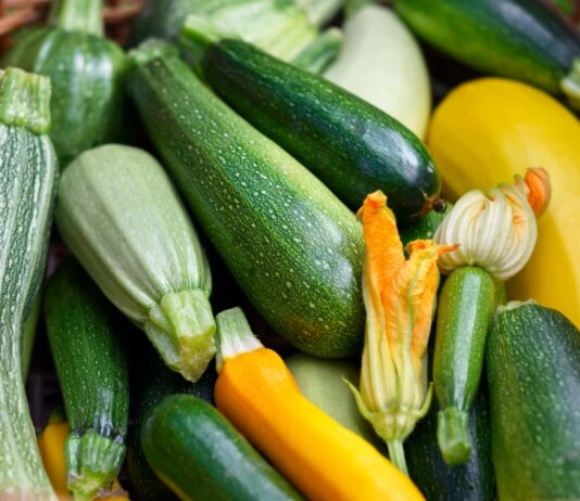 Кабачки полезнее других кабачков? Диетолог объясняет